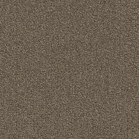 Ковровая плитка Modulyss Millennium Nxtgen Millennium Nxtgen 140 фото 1 | FLOORDEALER